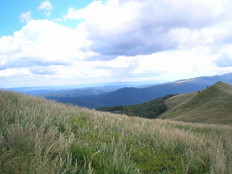 wakacje2008 137.jpg - c.d.